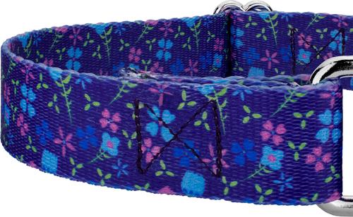 Show full view: Country Brook Petz Blueberry Fields Martingale Dog Collar, Medium: 15 to 21-in neck, 1-in wide slide 6 of 6
