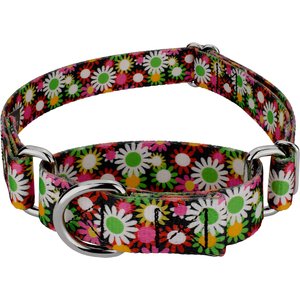 Country Brook Petz Daisy Fields Martingale Dog Collar, Small: 11 to 15-in neck, 5/8-in wide