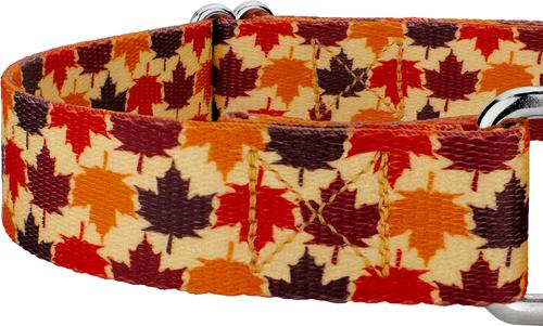 Show full view: Country Brook Petz Nature Walk Martingale Dog Collar, Large: 18 to 26-in neck, 1-in wide slide 6 of 6