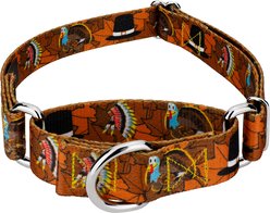 Country Brook Petz Thanksgiving Tradition Martingale Dog Collar, Medium: 15 to 21-in neck, 1-in wide