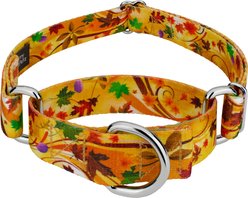 Country Brook Petz Autumn Wind Martingale Dog Collar, X-Small: 9 to 12-in neck, 1/2-in wide slide 1 of 5