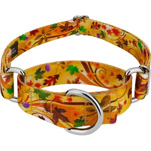 Country Brook Petz Autumn Wind Martingale Dog Collar, Small: 11 to 15-in neck, 5/8-in wide