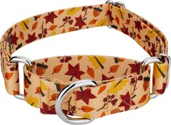 Country Brook Petz Fall Foliage Martingale Dog Collar, Medium: 15 to 21-in neck, 1-in wide