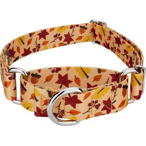 Country Brook Petz Fall Foliage Martingale Dog Collar, Small: 11 to 15-in neck, 5/8-in wide