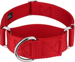 Country Brook Petz HossFit Jr Wide Training Martingale Dog Collar, Red, Large: 18 to 26-in neck, 1.5-in wide