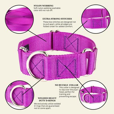 Show full view: Country Brook Petz HossFit Jr Wide Training Martingale Dog Collar, Bright Purple, Medium: 15 to 21-in neck, 1.5-in wide slide 6 of 8