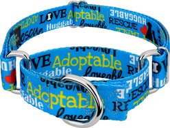Country Brook Petz Loveable Rescue Martingale Dog Collar, Blue, X-Small: 9 to 12-in neck, 1/2-in wide