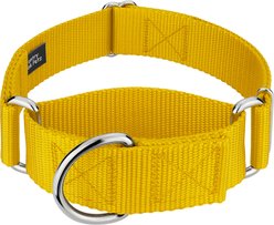 Country Brook Petz HossFit Jr Wide Training Martingale Dog Collar, Gold, Medium: 15 to 21-in neck, 1.5-in wide