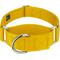 Show in main carousel: Country Brook Petz HossFit Jr Wide Training Martingale Dog Collar, Gold, Medium: 15 to 21-in neck, 1.5-in wide slide 1 of 8