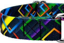 Country Brook Petz Memphis 90s Martingale Dog Collar, X-Small: 9 to 12-in neck, 1/2-in wide slide 2 of 5