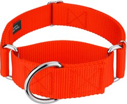 Country Brook Petz HossFit Jr Wide Training Martingale Dog Collar, Hot Orange, Medium: 15 to 21-in neck, 1.5-in wide