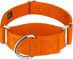 Country Brook Petz HossFit Jr Wide Training Martingale Dog Collar, Orange, Medium: 15 to 21-in neck, 1.5-in wide