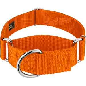 Country Brook Petz HossFit Jr Wide Training Martingale Dog Collar, Orange, Medium: 15 to 21-in neck, 1.5-in wide