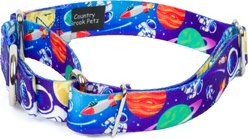 Country Brook Petz Cosmic Dreams Martingale Dog Collar, Large: 18 to 26-in neck, 1-in wide slide 2 of 6
