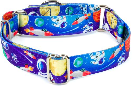 Show full view: Country Brook Petz Cosmic Dreams Martingale Dog Collar, Medium: 15 to 21-in neck, 1-in wide slide 5 of 7