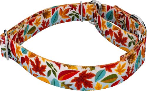 Show full view: Country Brook Petz Brisk Autumn Martingale Dog Collar, Large: 18 to 26-in neck, 1-in wide slide 4 of 5