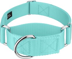 Country Brook Petz HossFit Jr Wide Training Martingale Dog Collar, Light Cyan, X-Large: 23 to 31-in neck, 1.5-in wide slide 1 of 8