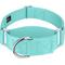 Show in main carousel: Country Brook Petz HossFit Jr Wide Training Martingale Dog Collar, Light Cyan, Medium: 15 to 21-in neck, 1.5-in wide slide 1 of 8