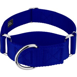 Country Brook Petz HossFit Jr Wide Training Martingale Dog Collar, Royal Blue, Large: 18 to 26-in neck, 1.5-in wide