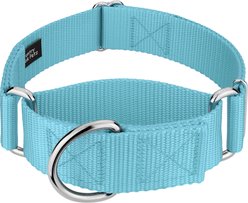 Country Brook Petz HossFit Jr Wide Training Martingale Dog Collar, Ocean Blue, Medium: 15 to 21-in neck, 1.5-in wide