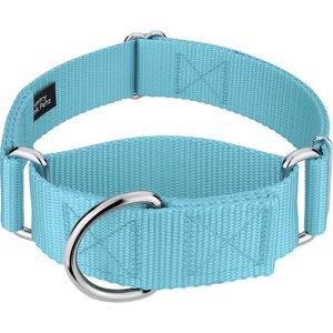Country Brook Petz HossFit Jr Wide Training Martingale Dog Collar, Ocean Blue, Medium: 15 to 21-in neck, 1.5-in wide