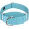 Show in main carousel: Country Brook Petz HossFit Jr Wide Training Martingale Dog Collar, Ocean Blue, Medium: 15 to 21-in neck, 1.5-in wide slide 1 of 8