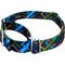 Show in main carousel: Country Brook Petz Memphis 90s Martingale Dog Collar, XX-Small: 7 to 10-in neck, 1/2-in wide slide 3 of 5