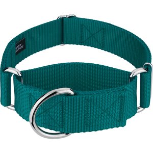 Country Brook Petz HossFit Jr Wide Training Martingale Dog Collar, Teal, Large: 18 to 26-in neck, 1.5-in wide