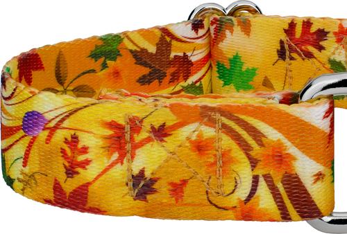 Show full view: Country Brook Petz Autumn Wind Martingale Dog Collar, Medium: 15 to 21-in neck, 1-in wide slide 5 of 5