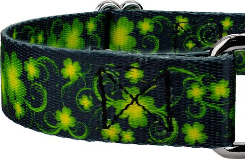 Show full view: Country Brook Petz Clovers In The Wind Martingale Dog Collar, Large: 18 to 26-in neck, 1-in wide slide 6 of 6