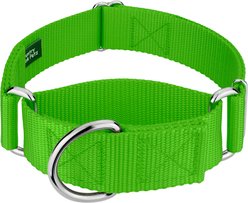Country Brook Petz HossFit Jr Wide Training Martingale Dog Collar, Hot Lime Green, Medium: 15 to 21-in neck, 1.5-in wide
