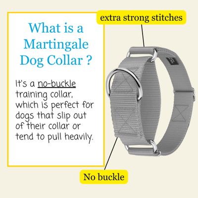 Show full view: Country Brook Petz HossFit Jr Wide Training Martingale Dog Collar, Silver, Large: 18 to 26-in neck, 1.5-in wide slide 3 of 8