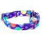 Show in main carousel: Country Brook Petz Cosmic Dreams Martingale Dog Collar, Medium: 15 to 21-in neck, 1-in wide slide 6 of 7