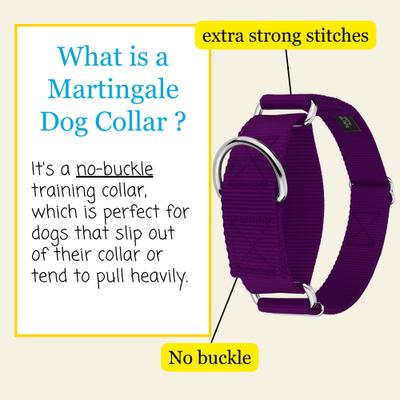 Show full view: Country Brook Petz HossFit Jr Wide Training Martingale Dog Collar, Purple, Large: 18 to 26-in neck, 1.5-in wide slide 3 of 8