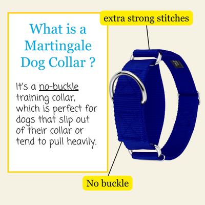 Show full view: Country Brook Petz HossFit Jr Wide Training Martingale Dog Collar, Royal Blue, Large: 18 to 26-in neck, 1.5-in wide slide 3 of 8