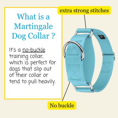 Show full view: Country Brook Petz HossFit Jr Wide Training Martingale Dog Collar, Ocean Blue, Medium: 15 to 21-in neck, 1.5-in wide slide 3 of 8