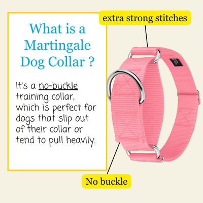 Show full view: Country Brook Petz HossFit Jr Wide Training Martingale Dog Collar, Pink, Large: 18 to 26-in neck, 1.5-in wide slide 4 of 9