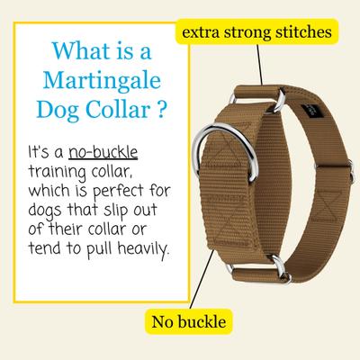 Show full view: Country Brook Petz HossFit Jr Wide Training Martingale Dog Collar, Coyote Tan, Medium: 15 to 21-in neck, 1.5-in wide slide 3 of 8