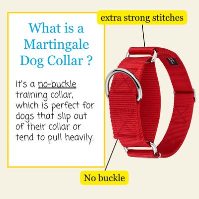 Show full view: Country Brook Petz HossFit Jr Wide Training Martingale Dog Collar, Red, Medium: 15 to 21-in neck, 1.5-in wide slide 3 of 8