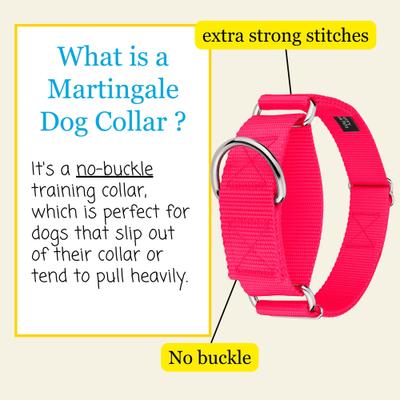 Show full view: Country Brook Petz HossFit Jr Wide Training Martingale Dog Collar, Hot Pink, Large: 18 to 26-in neck, 1.5-in wide slide 4 of 9