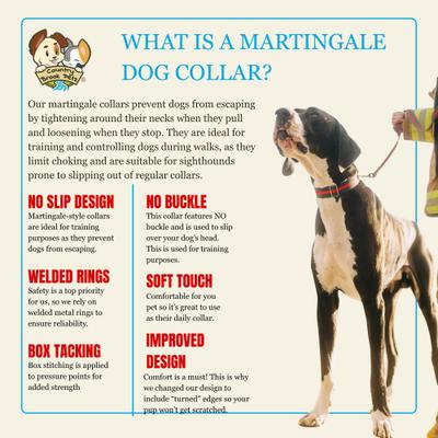 Show full view: Country Brook Petz Sedona Stripes Martingale Dog Collar, Medium: 15 to 21-in neck, 1-in wide slide 5 of 8