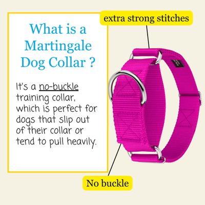 Show full view: Country Brook Petz HossFit Jr Wide Training Martingale Dog Collar, Fuchsia, Medium: 15 to 21-in neck, 1.5-in wide slide 4 of 9