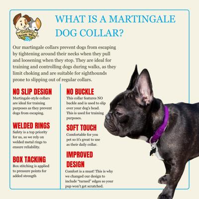 Show full view: Country Brook Petz HossFit Jr Wide Training Martingale Dog Collar, Bright Purple, Medium: 15 to 21-in neck, 1.5-in wide slide 5 of 8