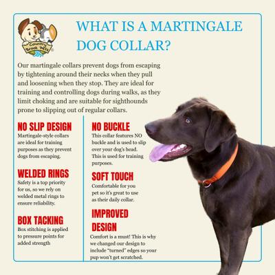 Show full view: Country Brook Petz HossFit Jr Wide Training Martingale Dog Collar, Orange, Medium: 15 to 21-in neck, 1.5-in wide slide 5 of 8