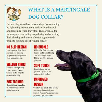 Show full view: Country Brook Petz HossFit Jr Wide Training Martingale Dog Collar, Gold, Medium: 15 to 21-in neck, 1.5-in wide slide 5 of 8