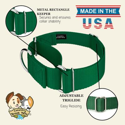 Show full view: Country Brook Petz HossFit Jr Wide Training Martingale Dog Collar, Green, Medium: 15 to 21-in neck, 1.5-in wide slide 7 of 8