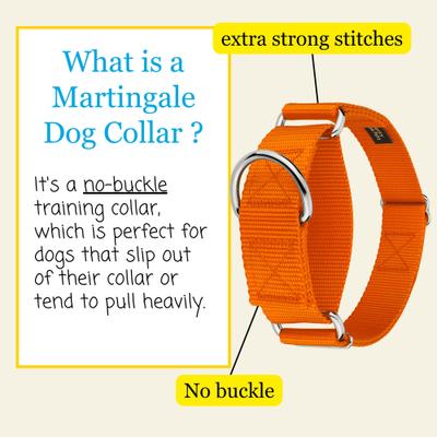 Show full view: Country Brook Petz HossFit Jr Wide Training Martingale Dog Collar, Orange, Medium: 15 to 21-in neck, 1.5-in wide slide 3 of 8