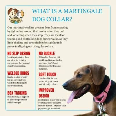 Show full view: Country Brook Petz HossFit Jr Wide Training Martingale Dog Collar, Pink, Large: 18 to 26-in neck, 1.5-in wide slide 6 of 9