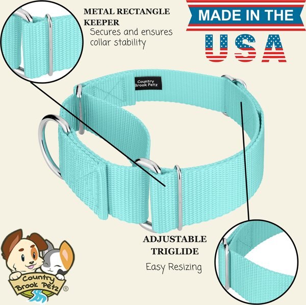 Country Brook Petz HossFit Jr Spring Cottagecore Wide Martingale Dog Collar