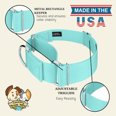 Show full view: Country Brook Petz HossFit Jr Wide Training Martingale Dog Collar, Light Cyan, Medium: 15 to 21-in neck, 1.5-in wide slide 7 of 8